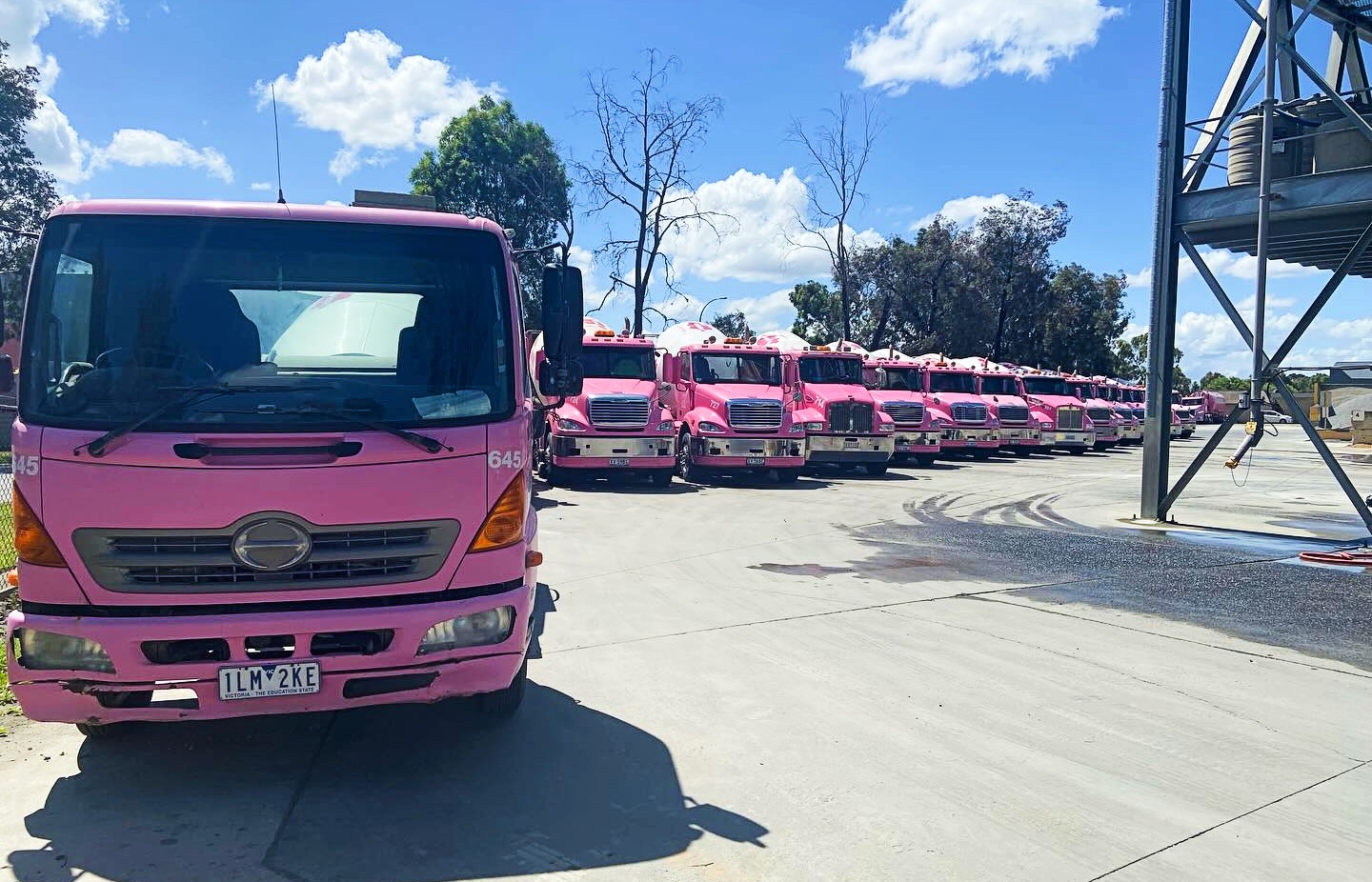 Vicmix pink truck lined up.